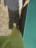 IMG_1973.jpeg